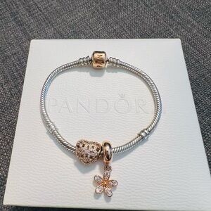 Pandora Bracelet w/ Charms